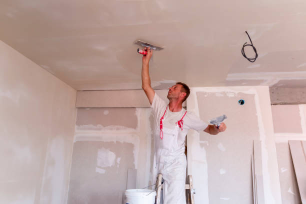 Best Fire-Damaged Drywall Repair  in Artesia, CA